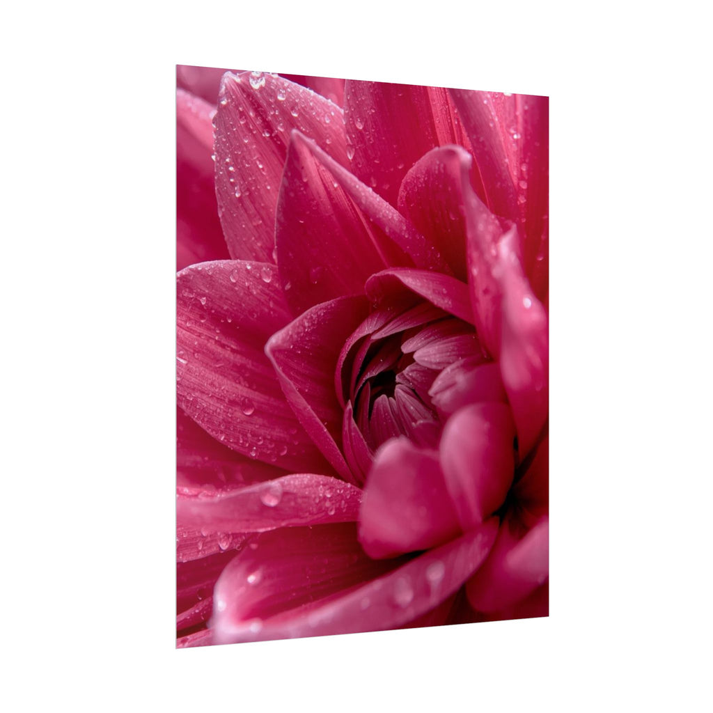 Pink Flower 2