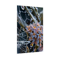 Webbed Petals