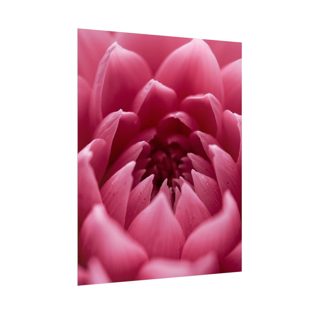 Pink Flower