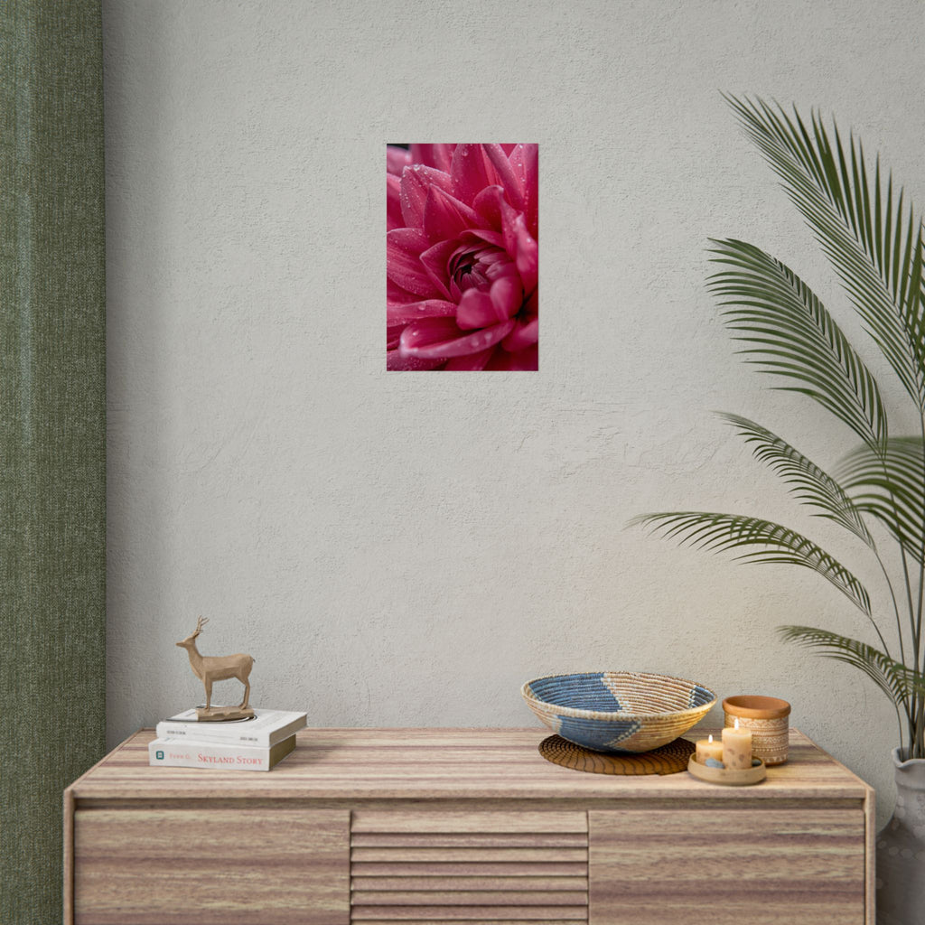 Pink Flower 2